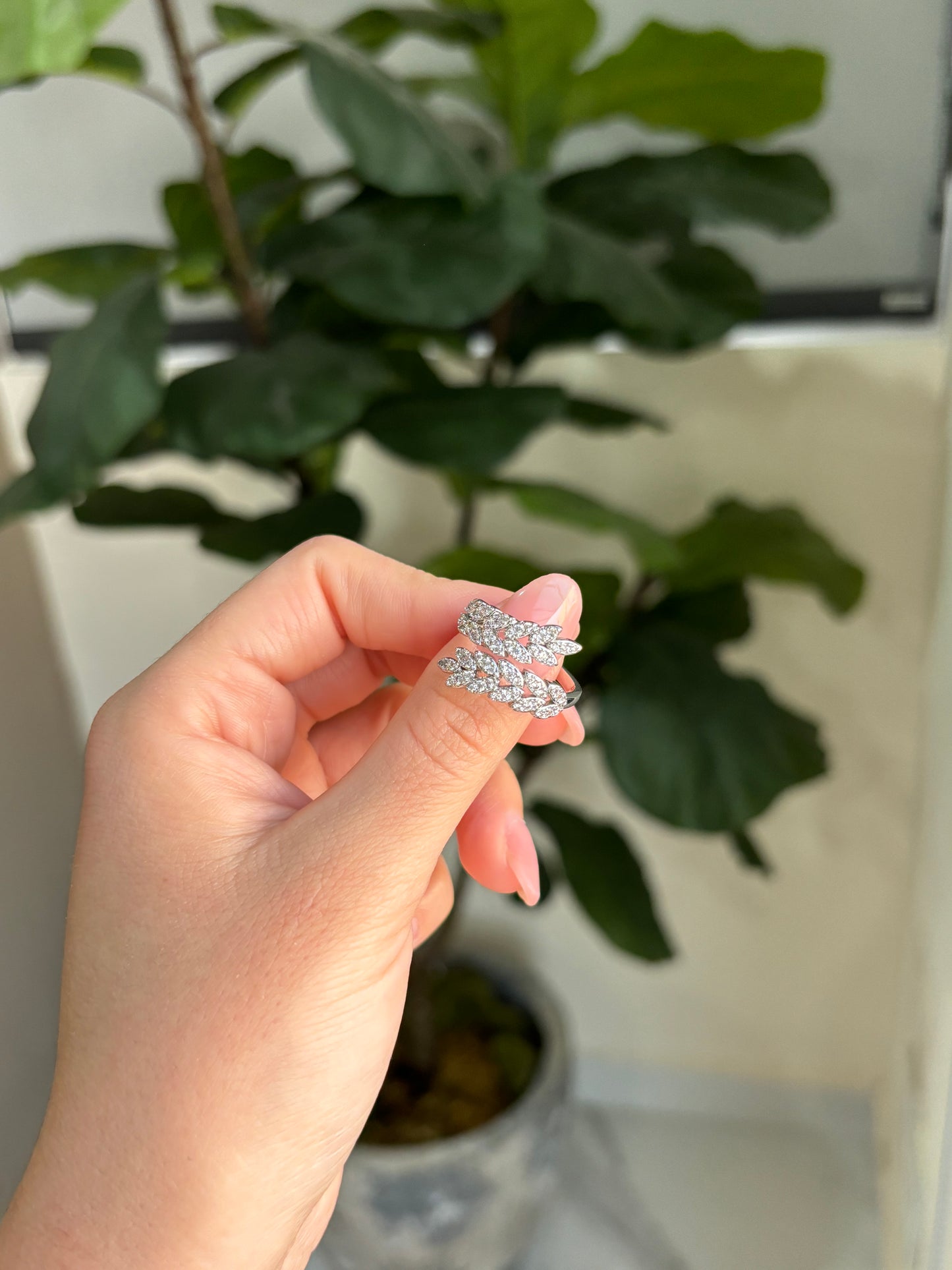 Anillo ram