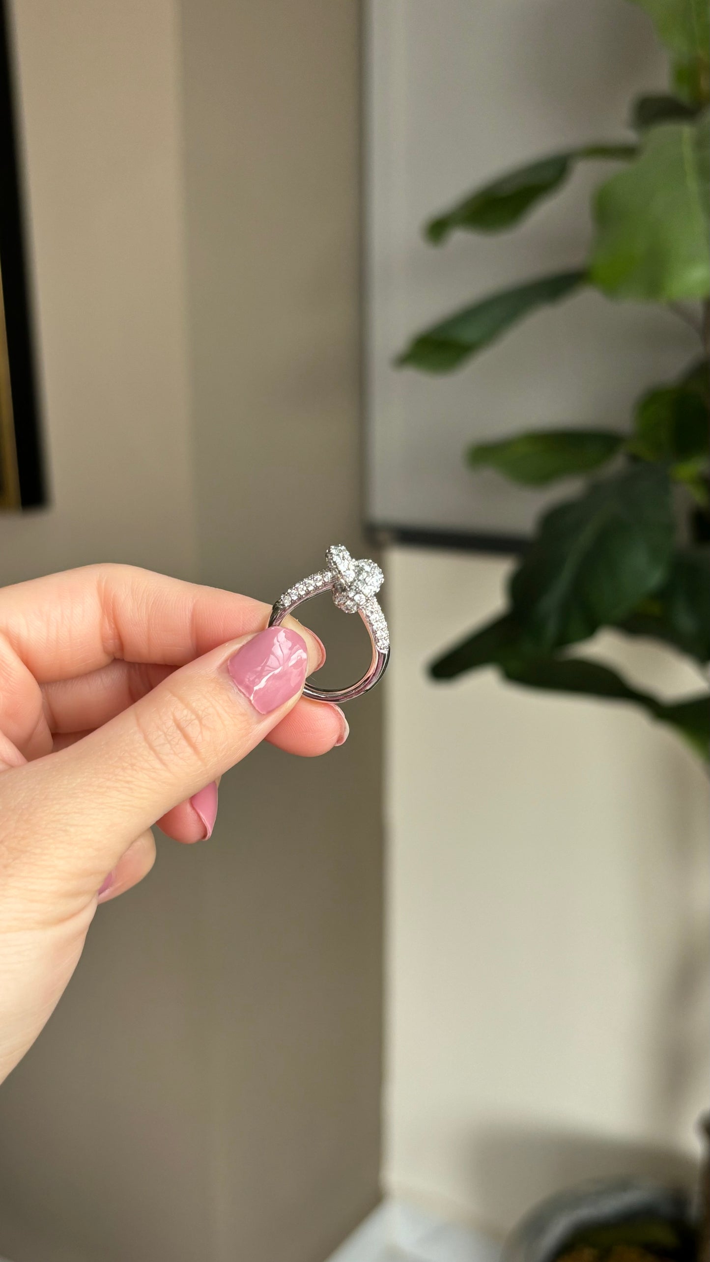 Anillo Nudo
