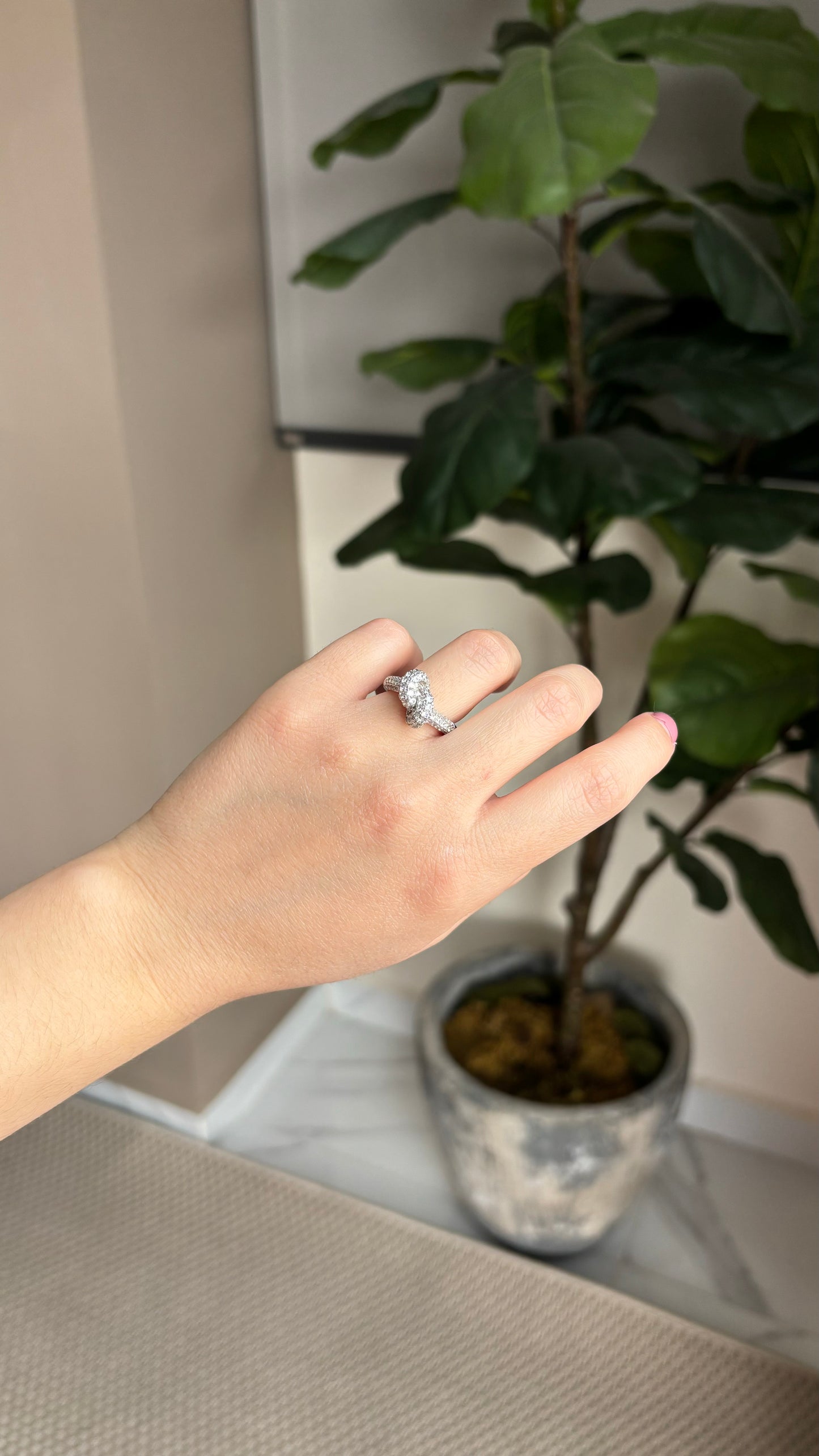 Anillo Nudo