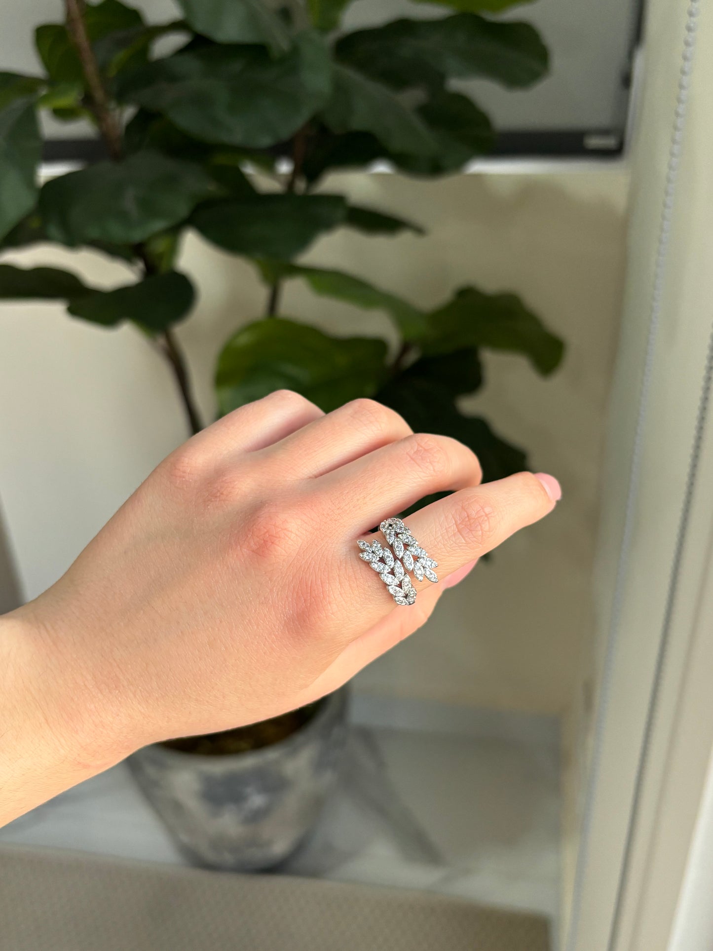 Anillo ram